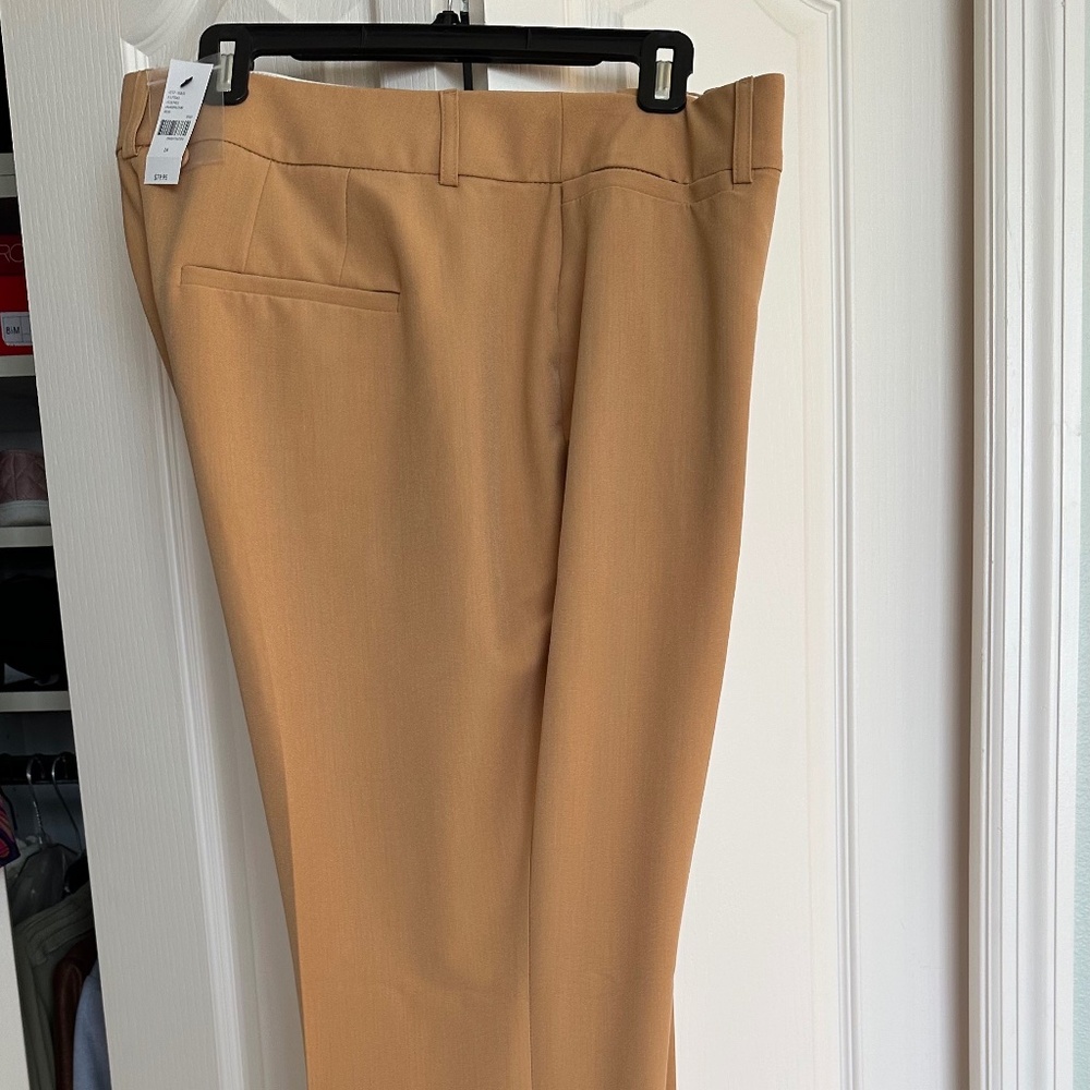 Elegant Tan Women's Pants